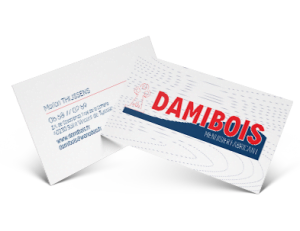 damibois-cartes